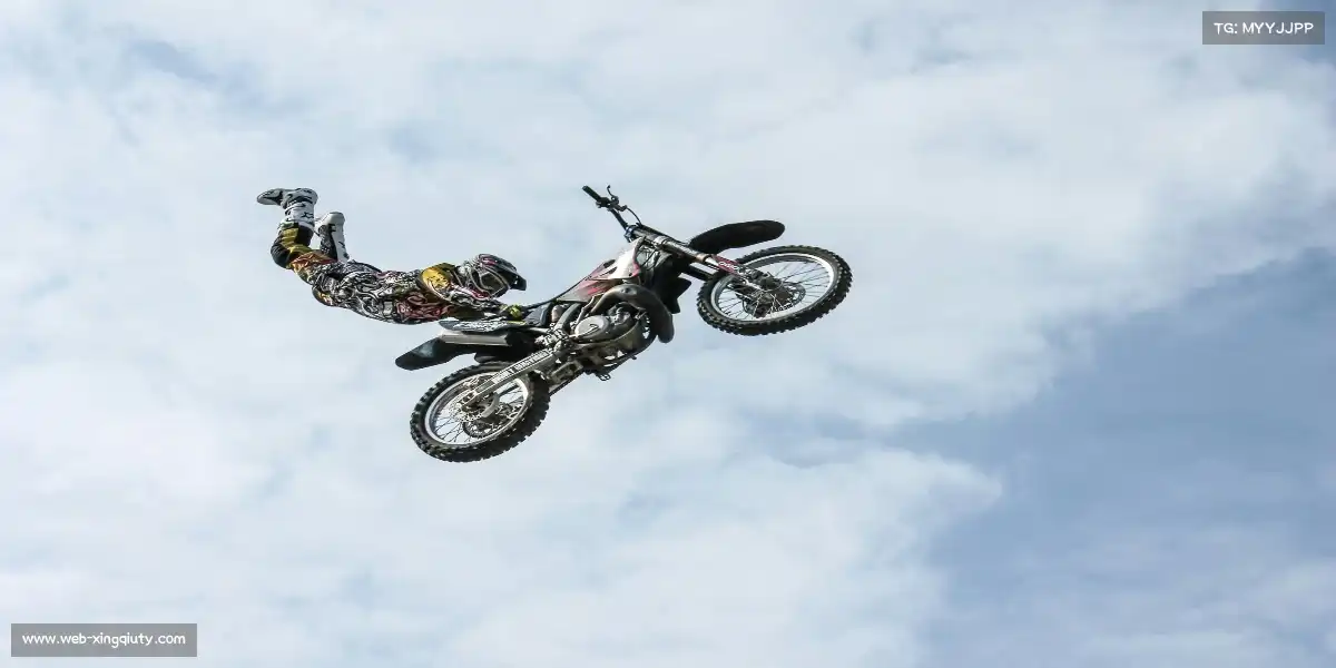 新球体育官网——🏊♂️🌊 蝶泳破浪,碧波斩月!